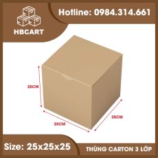 thùng carton vuông 25x25x25