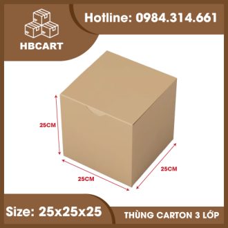 thùng carton vuông 25x25x25